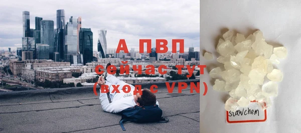 mdpv Богородицк