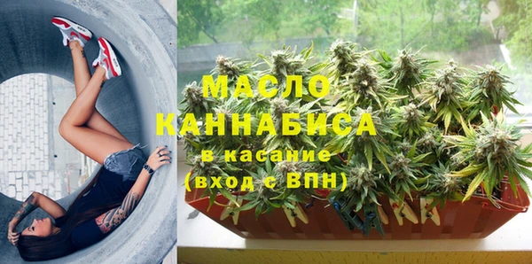 mdpv Богородицк